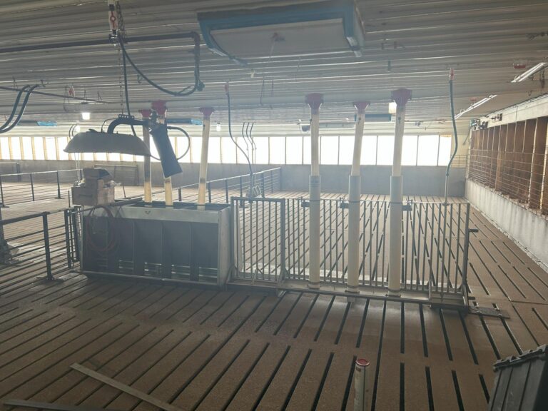 4800 Head Swine Facility and Acreage-Swine Facility-1740171993
