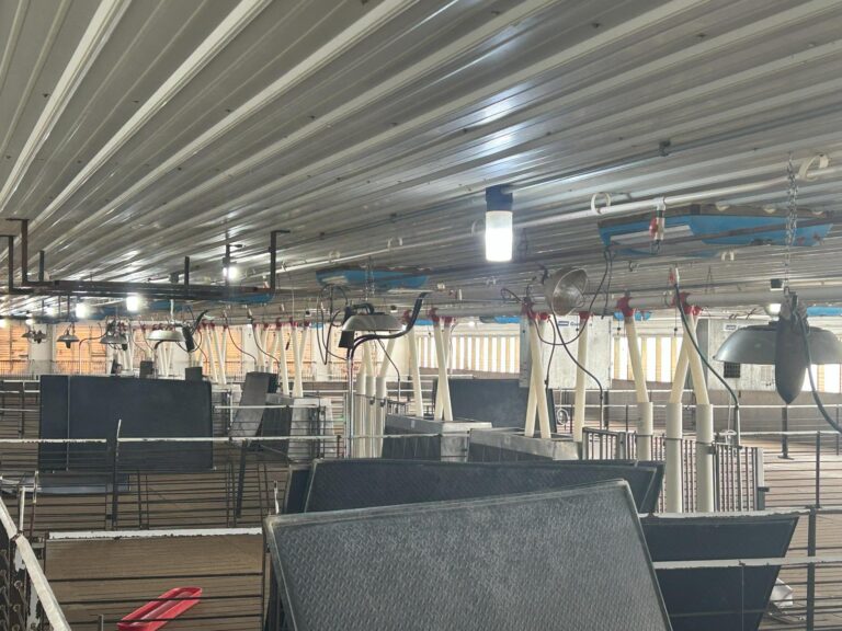 4800 Head Swine Facility and Acreage-Swine Facility-1740172021