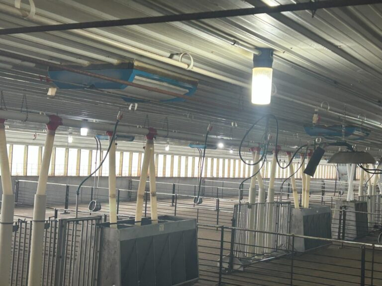 4800 Head Swine Facility and Acreage-Swine Facility-1740172046