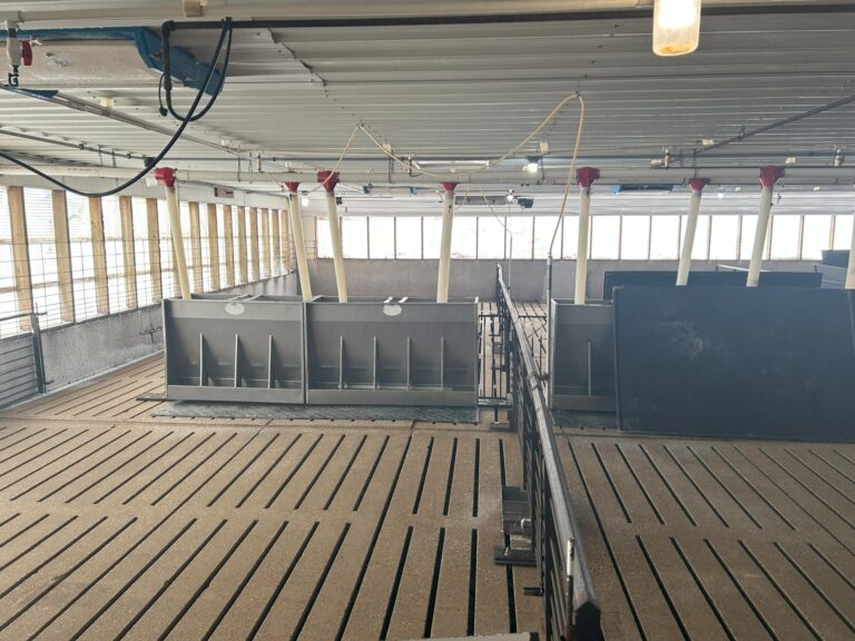 4800 Head Swine Facility and Acreage-Swine Facility-1740172070 (1)