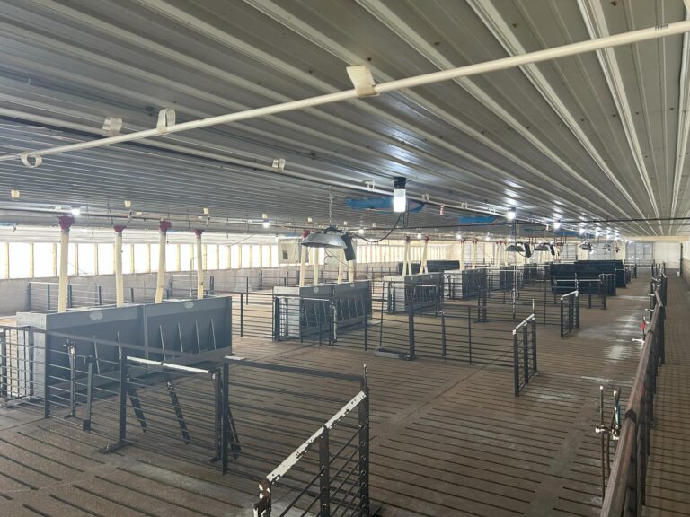 4800 Head Swine Facility and Acreage-Swine Facility-1740172098