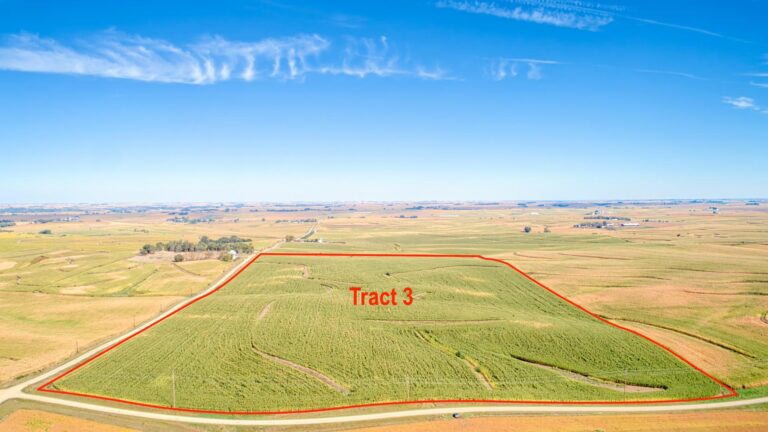 514 Acres m_l - 4 Tracts-Tract 3-1728419216