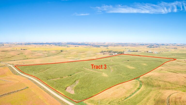 514 Acres m_l - 4 Tracts-Tract 3-1728419265