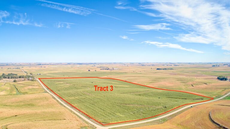514 Acres m_l - 4 Tracts-Tract 3-1728419292
