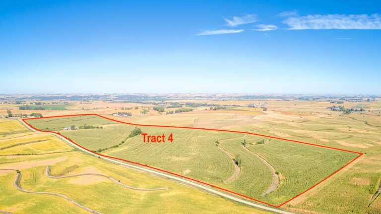 514 Acres m_l - 4 Tracts-Tract 4-1728419394
