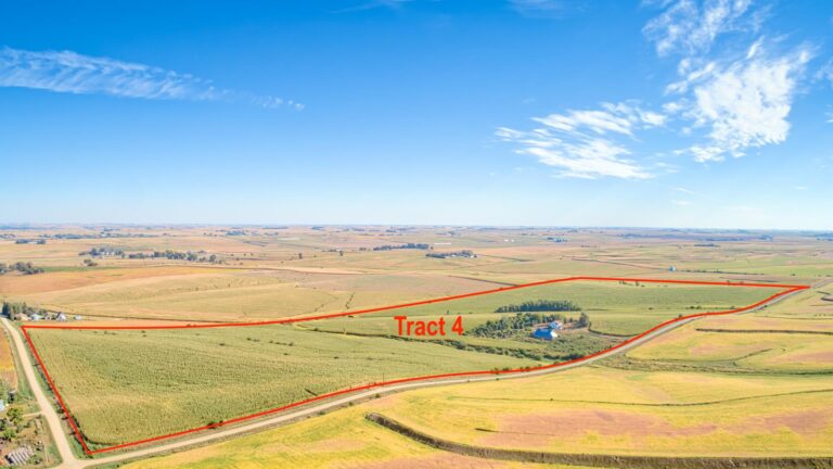 514 Acres m_l - 4 Tracts-Tract 4-1728419426