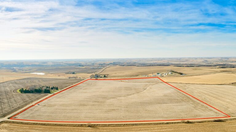 548.26 Ac. m_l Selling in 7 Tracts-Tract 1-1637775290