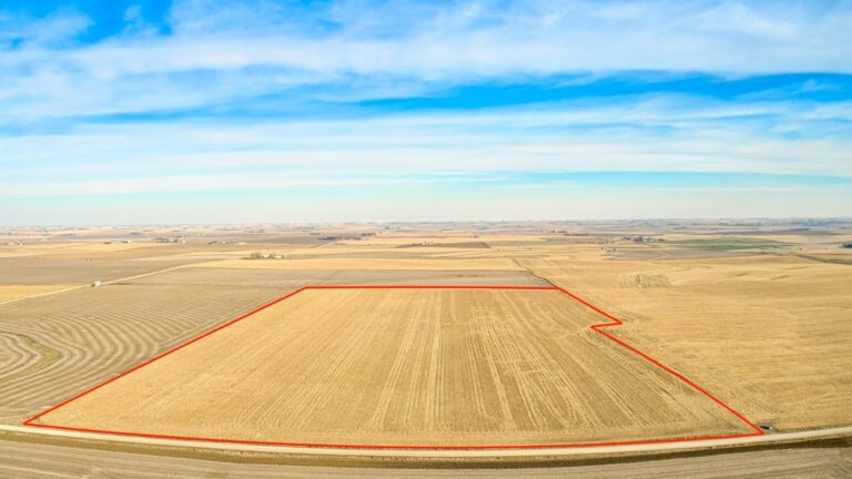 548.26 Ac. m_l Selling in 7 Tracts-Tract 3-1637781130