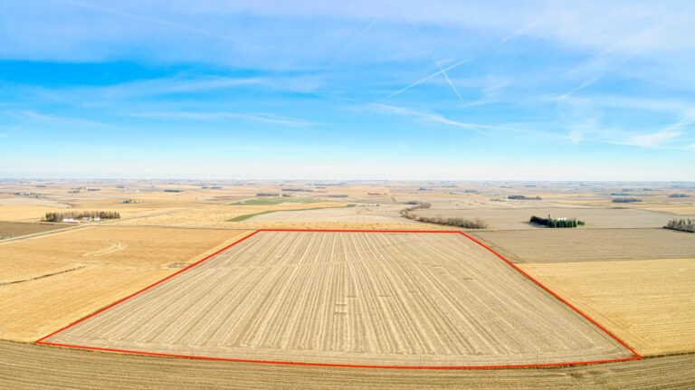 548.26 Ac. m_l Selling in 7 Tracts-Tract 6-1637781214
