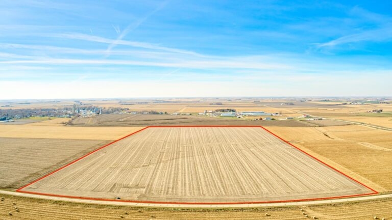 548.26 Ac. m_l Selling in 7 Tracts-Tract 6-1637781234