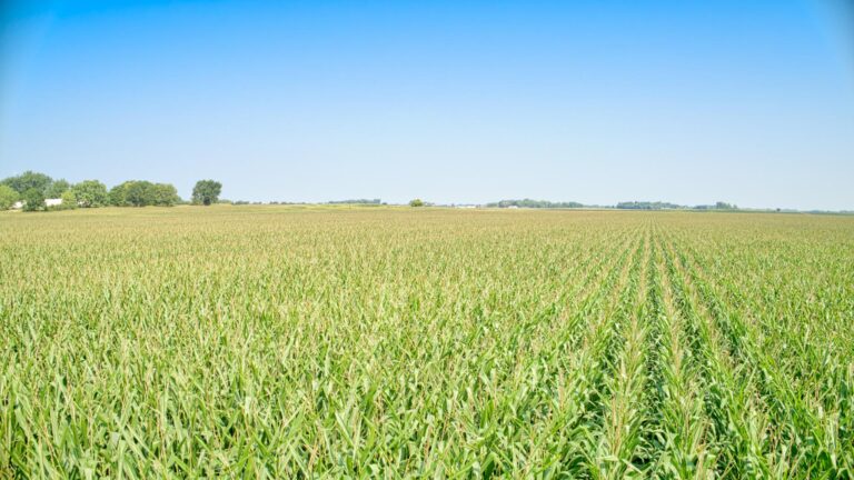 58 Acres m_l-1-1691527801