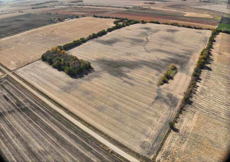 74 Acres m_l-1-1729796860