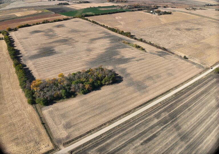 74 Acres m_l-1-1729797491