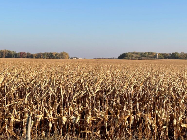75.7 Acres m_l-1-1665513889