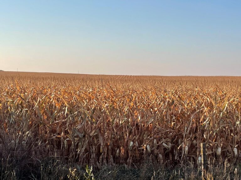 75.7 Acres m_l-3-1665513939