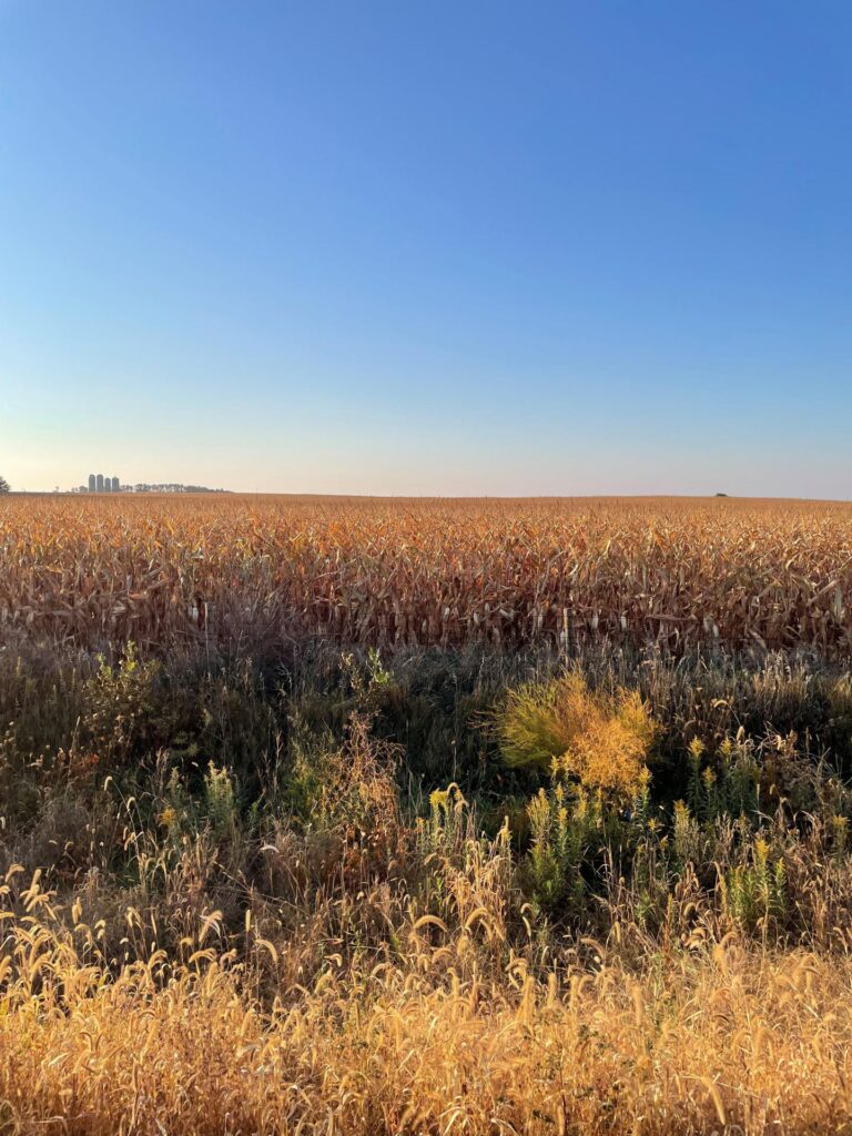 75.7 Acres m_l-3-1665513962