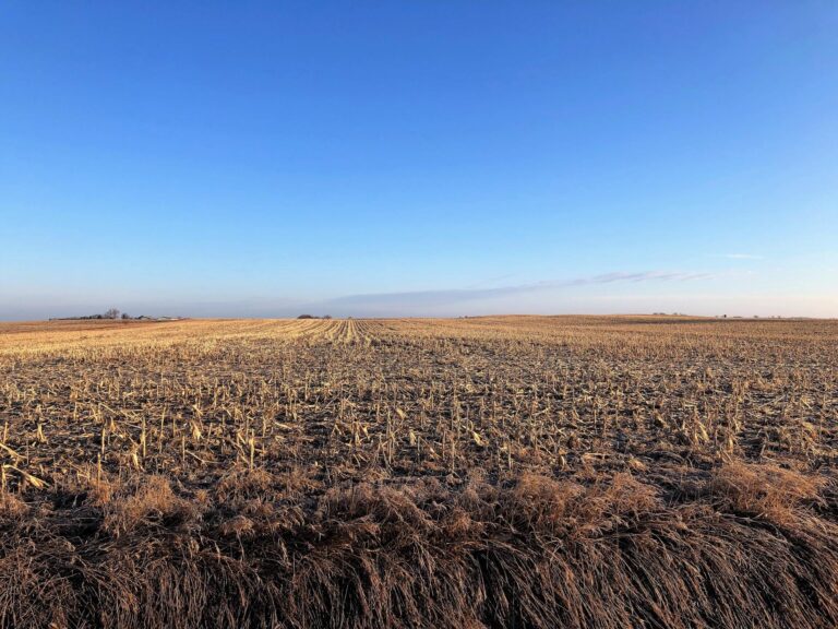 77 Acres M_L-1-1583865405