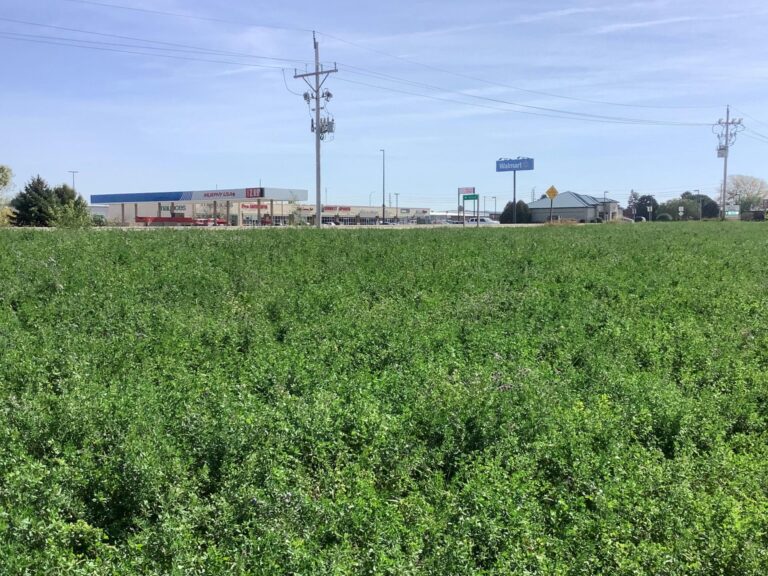 8.2 Acres with Development Potential Buena Vista County - 1