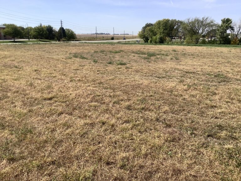 8.2 Acres with Development Potential Buena Vista County - 4
