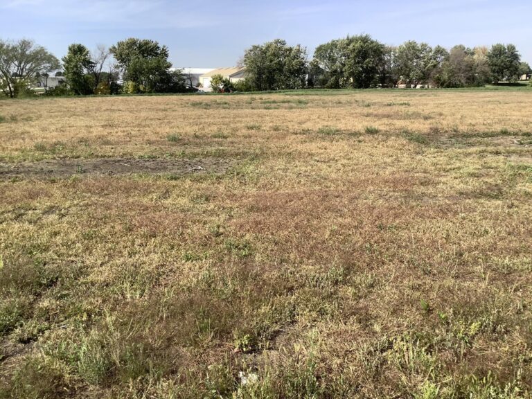 8.2 Acres with Development Potential Buena Vista County - 6