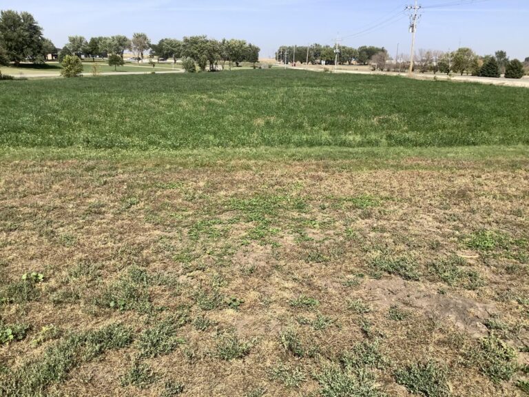 8.2 Acres with Development Potential Buena Vista County - 7