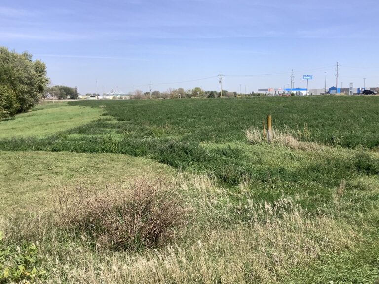 8.2 Acres with Development Potential Buena Vista County - 8