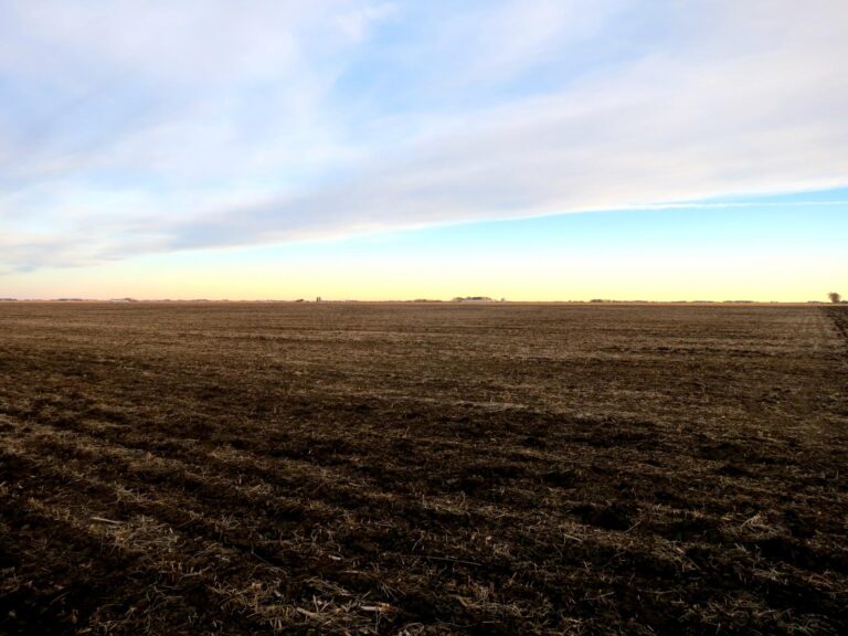 80 Acres-80 Acres-1508348829