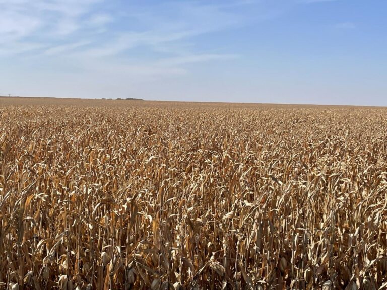 80 Acres m_l-1-1665429815