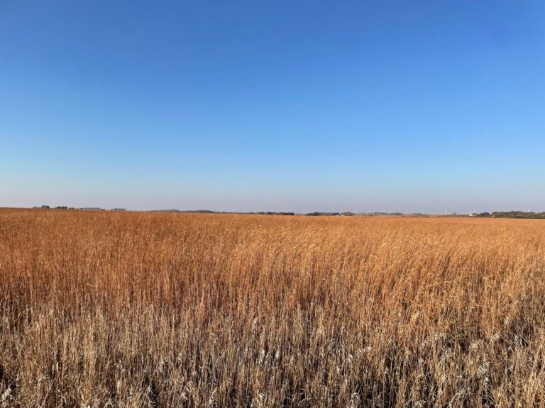 80 Acres m_l-1-1665505343