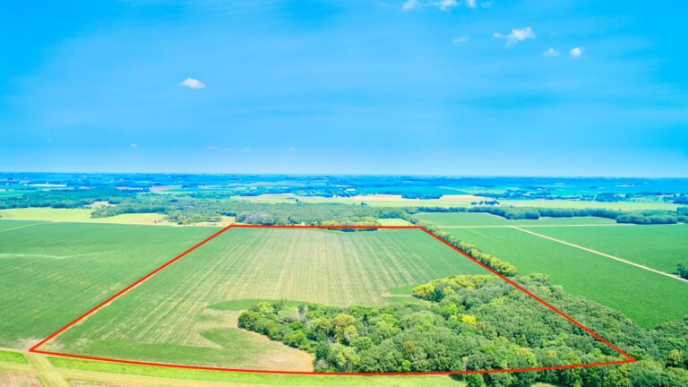 80 Acres m_l-2-1625679116