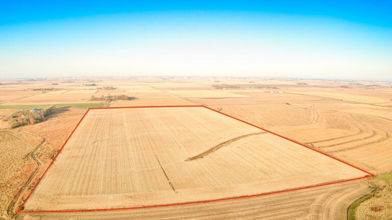 80 Acres m_l-4-1668018693