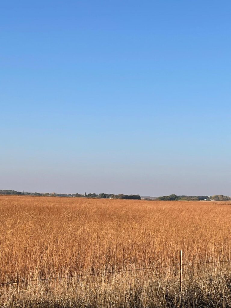 80 Acres m_l-5-1665505387