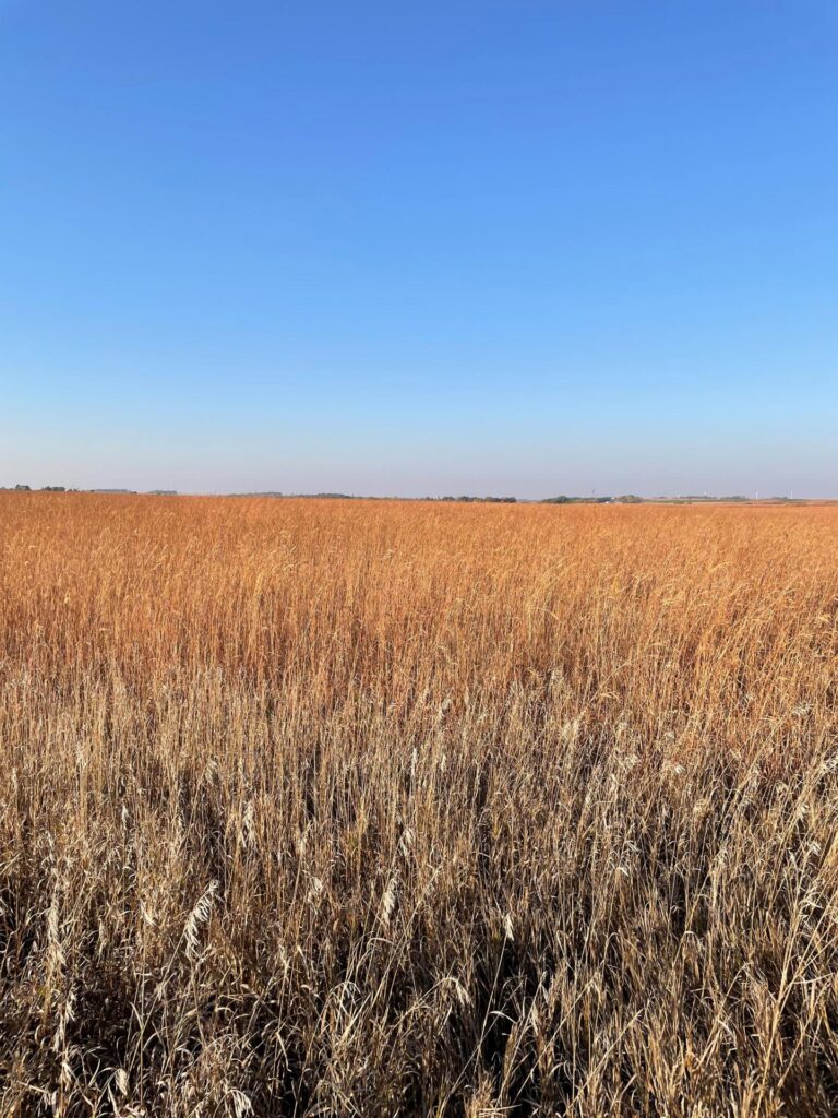 80 Acres m_l-9-1665505449