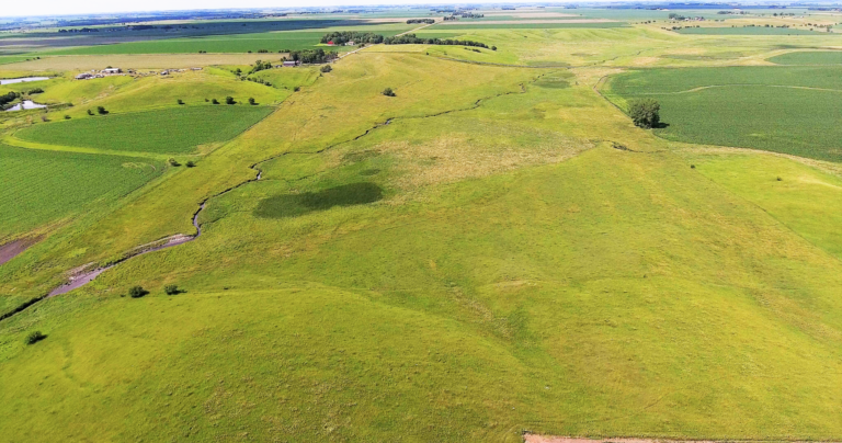80 Acres m_l Pasture-2-1593120518