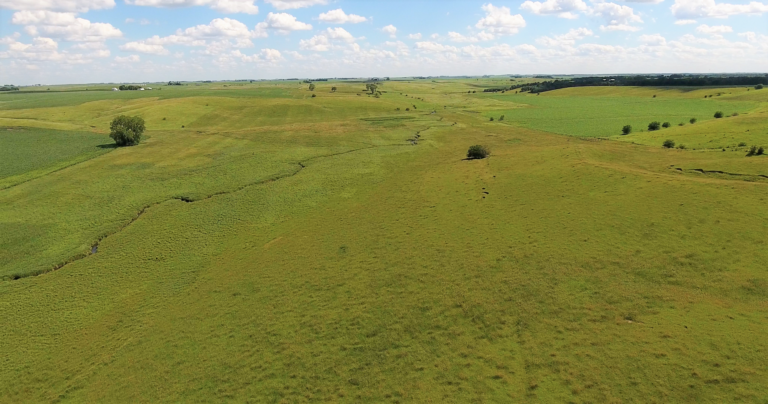 80 Acres m_l Pasture-4-1593120663