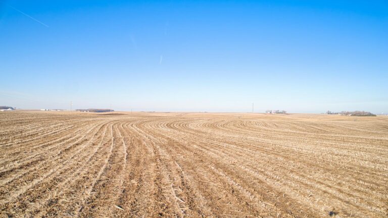 80 Acres m_l-Tract 1-1741970248