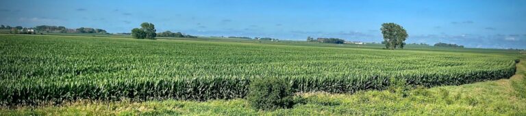 80 Acres ml Cherokee County-5