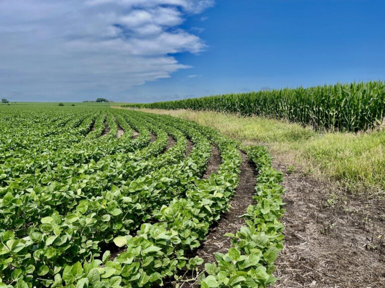 80 Acres ml Cherokee County-6