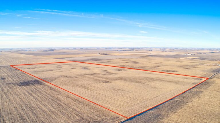 80 Acres ml Dickinson County - 3