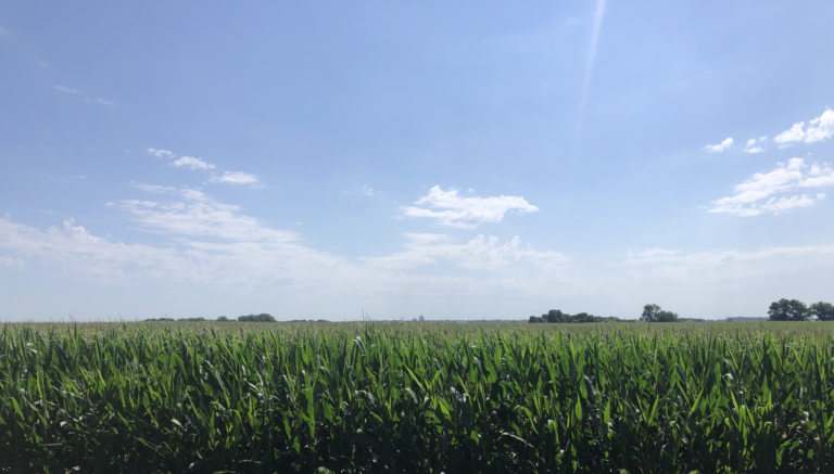 88 Acres m_l-1-1658525016