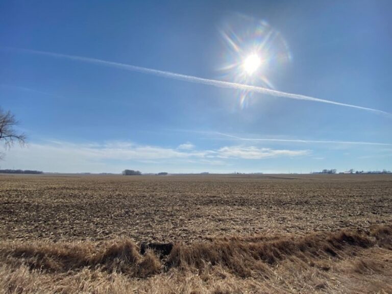 88 Acres m_l-3-1646260450