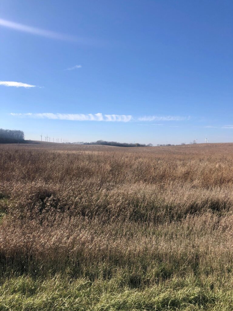 93 Acres m_l-1-1636647121