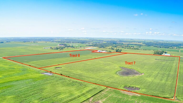 977.25 Acres - 12 Tracts-Tracts 7 & 8-1722364605
