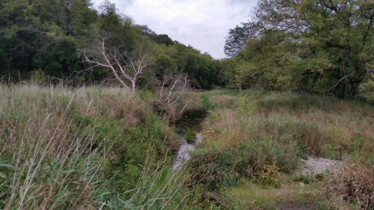 Acreage, Cropland, Timber, CRP Land Offered in 2 Tracts-Jolley 11-1512753834