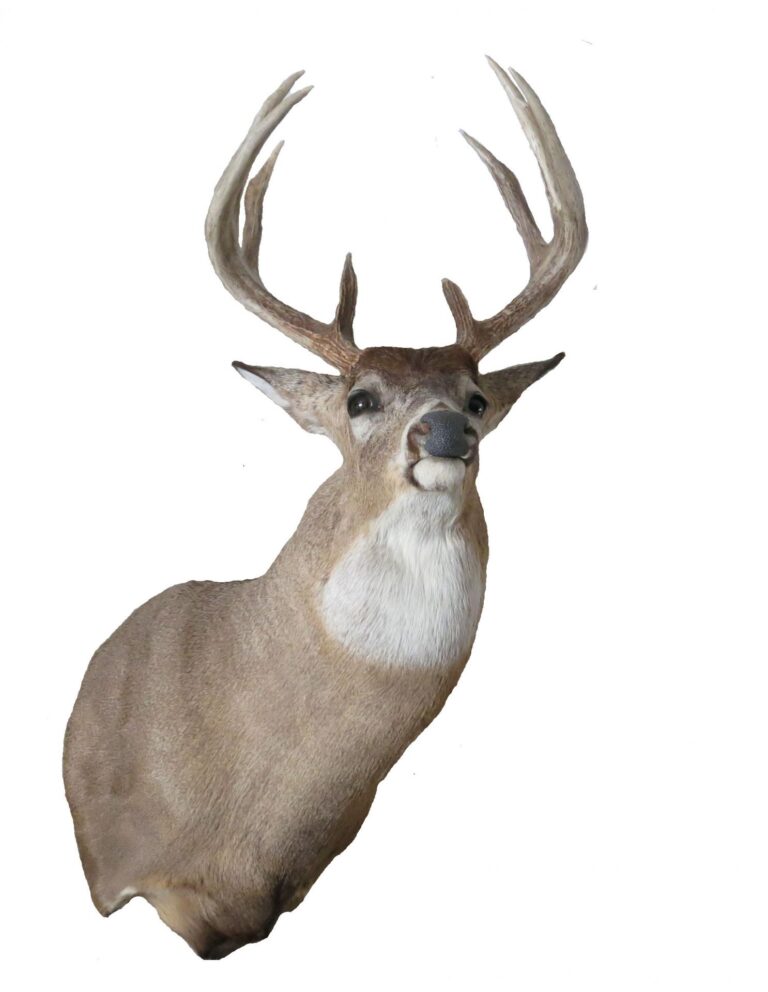 Acreage, Cropland, Timber, CRP Land Offered in 2 Tracts-Trophy Deer-1507141552