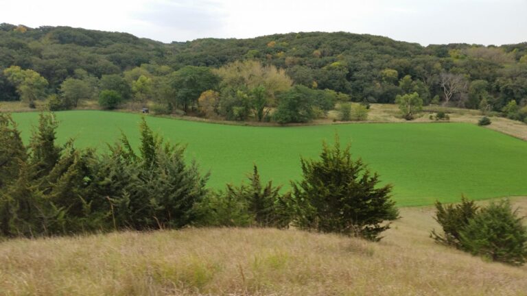 Acreage, Cropland, Timber, CRP Land Offered in 2 Tracts-jolley 9-1512753712