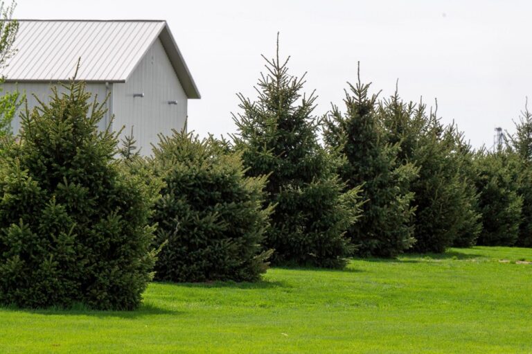 Pristine Acreage on 5.8 Acres-2-1654109533