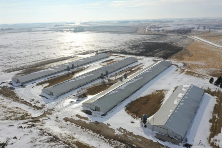 Turkey Production Facility - 40 Acres m_l-1-1612892763