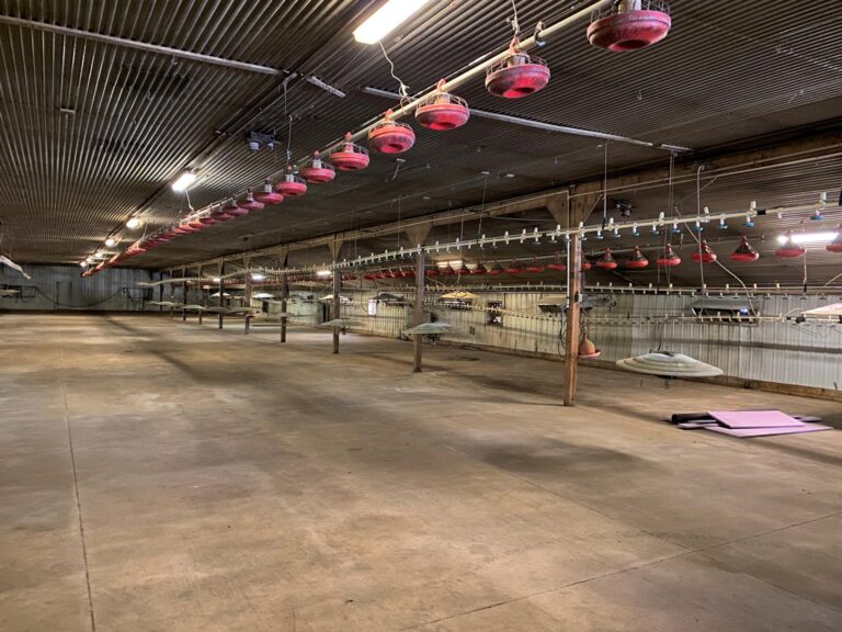 Turkey Production Facility - 40 Acres m_l-2-1612892860