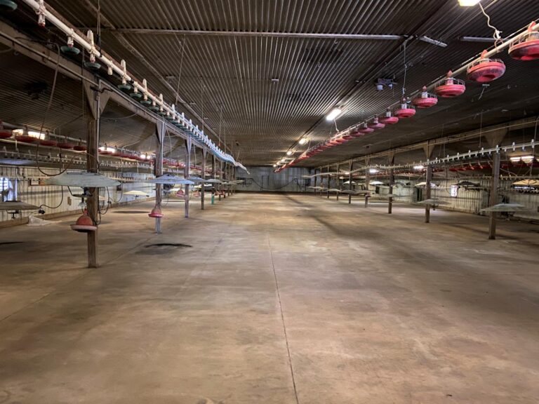 Turkey Production Facility - 40 Acres m_l-2-1612892882